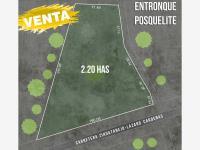 Terreno en venta en La Puerta, Zihuatanejo de Azueta, Guerrero