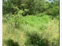 Terreno en venta en Comala, Comala, Colima