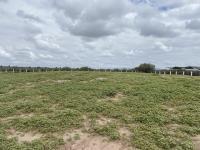 Terreno en venta en Mieleras, Torreón, Coahuila de Zaragoza