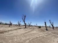 Terreno en venta en La Concha, Torreón, Coahuila de Zaragoza