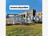 Terreno en venta en Los Olivos, Gómez Palacio, Durango