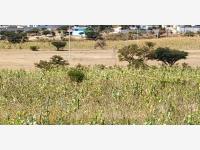 Terreno en venta en San Jose Iturbide Centro, San José Iturbide, Guanajuato