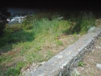 Terreno en venta en Tres de Mayo, Emiliano Zapata, Morelos