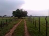 Finca-Rancho en venta en La Huasteca 1ra. Sección, Centro, Tabasco