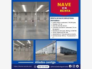 Nave en renta en Cuarto, Huejotzingo, Puebla Nave en renta en Cuarto, Huejotzingo, Puebla