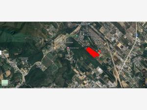 Terreno en venta en Privada San Antonio, Allende, Nuevo León