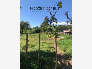 Terreno en venta en Briones, Coatepec, Veracruz de Ignacio de la Llave