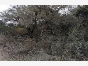 Terreno en venta en Tlacote El Bajo, Querétaro, Querétaro
