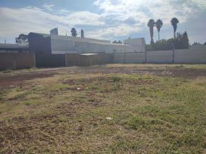 Terreno en renta en San Miguel, San Andrés Cholula, Puebla