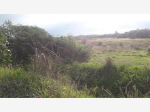 Terreno en venta en Los Angeles, Corregidora, Querétaro