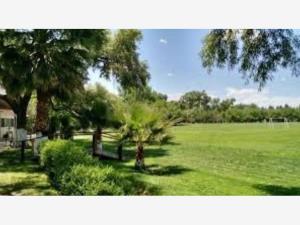 Terreno en venta en Ejido Apaseo el Alto, Apaseo El Alto, Guanajuato