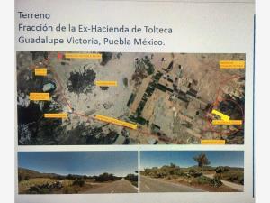 Terreno en venta en Guadalupe Victoria, Guadalupe Victoria, Puebla
