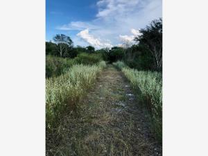 Terreno en venta en Macario Gómez, Tulum, Quintana Roo