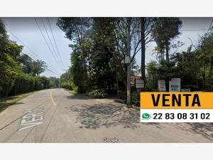 Terreno en venta en Briones, Coatepec, Veracruz de Ignacio de la Llave