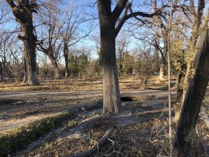 Terreno en venta en Parras de la Fuente Centro, Parras, Coahuila de Zaragoza