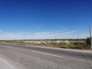 Terreno en venta en Bermejillo, Mapimí, Durango