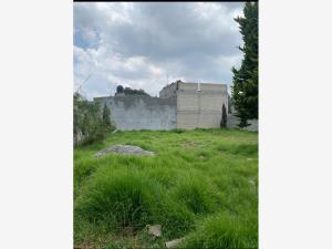 Terreno en venta en San Antonio el Llanito, Ocoyoacac, México