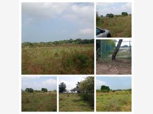 Terreno en venta en Mata Loma, Manlio Fabio Altamirano, Veracruz de Ignacio de la Llave