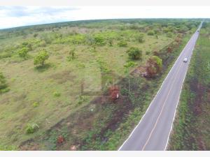 Terreno en venta en Santa Guillermina, Tlalixcoyan, Veracruz de Ignacio de la Llave