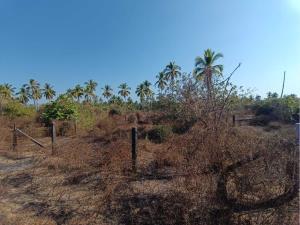 Terreno en venta en Barra de Potosí, Petatlán, Guerrero
