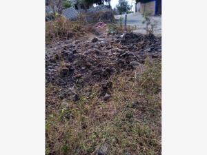 Terreno en venta en Miguel Hidalgo (los Cuartos), Yautepec, Morelos