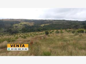 Terreno en venta en El Chico, Emiliano Zapata, Veracruz de Ignacio de la Llave