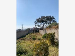 Terreno en venta en Papayos, Cuernavaca, Morelos