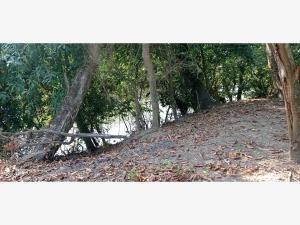 Finca-Rancho en venta en Salsipuedes, Medellín de Bravo, Veracruz de Ignacio de la Llave