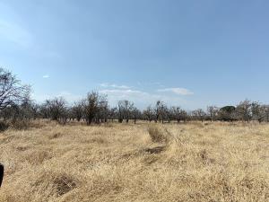 Terreno en renta en Real de Huejotzingo, Huejotzingo, Puebla