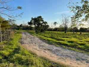 Terreno en venta en Tierra Amarilla 1ra. Sección, Centro, Tabasco