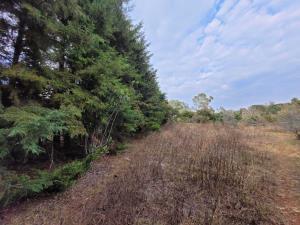 Terreno en venta en Pontezuelas, Charo, Michoacán de Ocampo