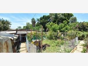 Terreno en venta en Chapultepec, Cuernavaca, Morelos