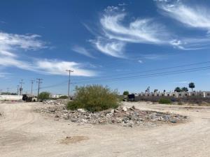 Terreno en renta en Campo Nuevo de Zaragoza, Torreón, Coahuila de Zaragoza