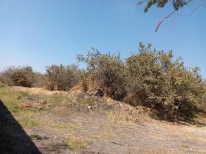 Terreno en venta en Tamoanchan, Jiutepec, Morelos