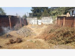 Terreno en venta en Amomolulco, Lerma, México Terreno en venta en Amomolulco, Lerma, México