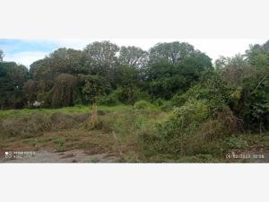 Terreno en venta en El Guasimal, Medellín de Bravo, Veracruz de Ignacio de la Llave