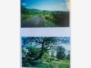 Terreno en venta en Santiago Tepetlapa, Tepoztlán, Morelos