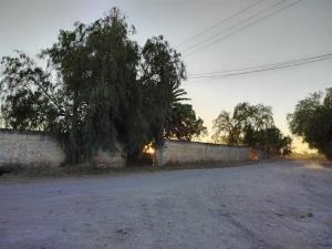 Terreno en venta en La Calera, Irapuato, Guanajuato