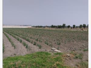 Terreno en venta en San Miguel Totocuitlapilco, Metepec, México