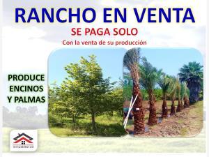 Finca-Rancho en remate en Cadereyta Jimenez Centro, Cadereyta Jiménez, Nuevo León