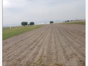 Terreno en venta en San Miguel Totocuitlapilco, Metepec, México