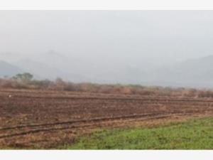 Terreno en venta en El Trapiche, Cuauhtémoc, Colima