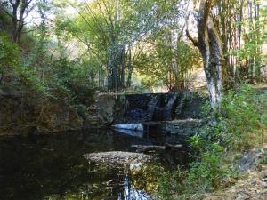 Finca-Rancho en venta en Amacuzac Centro, Amacuzac, Morelos
