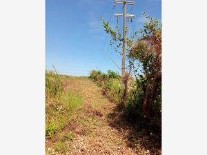 Terreno en venta en Anton Lizardo, Alvarado, Veracruz de Ignacio de la Llave