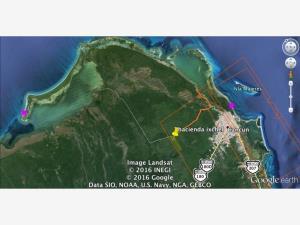 Terreno en venta en Leona Vicario, Benito Juárez, Quintana Roo