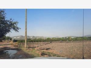 Terreno en venta en Acatlipa Centro, Temixco, Morelos