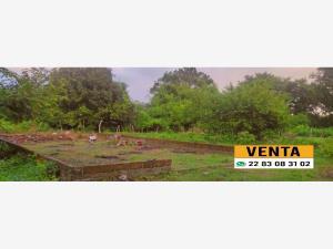 Terreno en remate en El Tejar, Medellín de Bravo, Veracruz de Ignacio de la Llave
