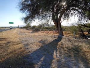 Terreno en venta en Los Pocitos, Matehuala, San Luis Potosí