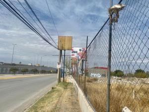 Terreno en renta en Santa Fe, Torreón, Coahuila de Zaragoza