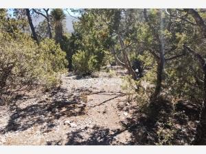 Terreno en venta en San Antonio de las Alazanas, Arteaga, Coahuila de Zaragoza